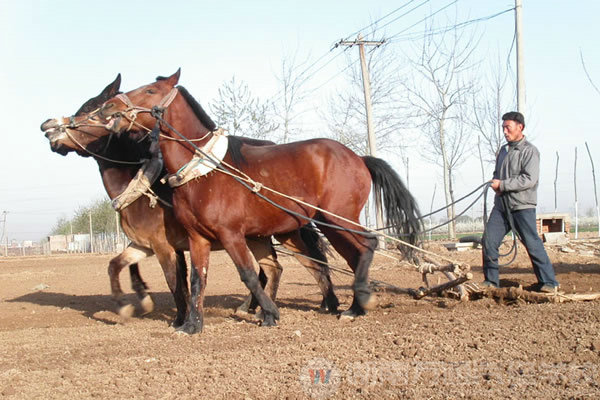農(nóng)民工提前返鄉(xiāng)再現(xiàn)用工荒