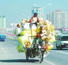 “世界消除貧困日”你還在貧困么？