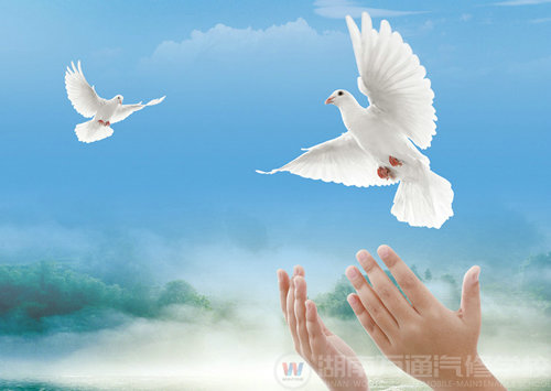 湖南萬(wàn)通 夢(mèng)想起航的地方