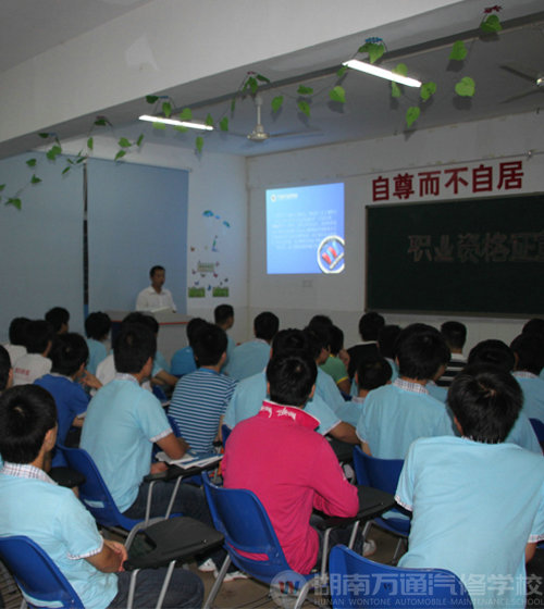 出身不決定一生 麻雀也能飛上枝頭當鳳凰