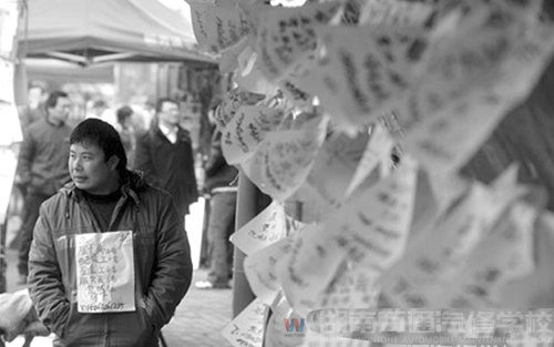 “白領”“藍領” 學有所用才是本領