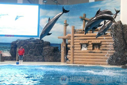 湖南萬通學子觀看海底世界活動