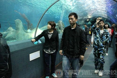 湖南萬通學子參觀海底世界