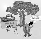 680萬高校畢業(yè)生就業(yè)形勢嚴峻 回爐學技能亦是上佳之選