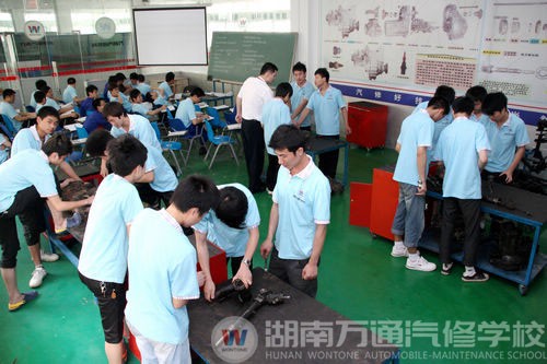 大學(xué)不是“大概學(xué)學(xué)” 學(xué)有所成才能成為有用之材