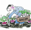 填志愿指南：文科生報什么專業(yè)才能“畢業(yè)不失業(yè)”？