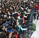 職海求生 拼的是“學(xué)歷”還是“能力”