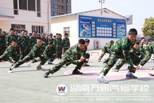 別具一格的拳術(shù)表演