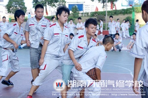 素質拓展訓練提升了新生班級的凝聚力