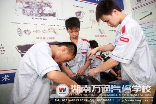 一起動手，其樂融融