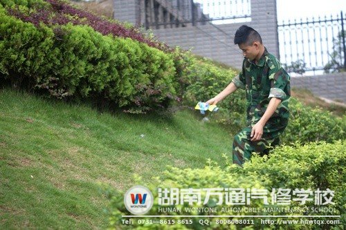 在片刻的歇息時間里，帥哥新生不是坐著休息，而是拾起了飄到草叢中的垃圾