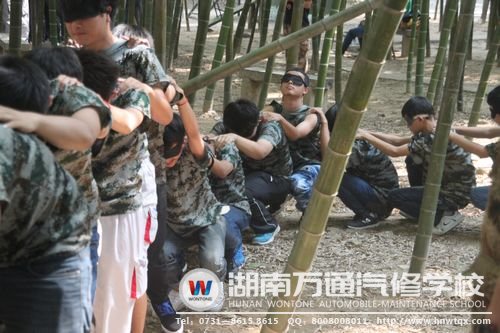 跟著仙人走，不怕沒路走