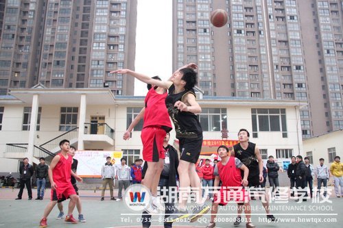 賽場上精彩連連