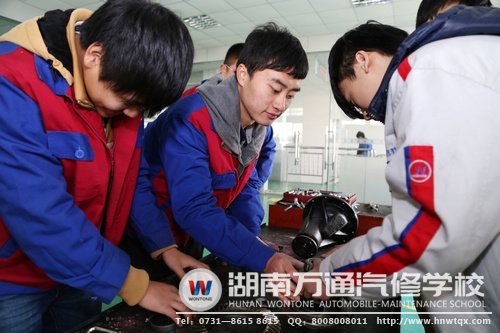 羅樂與同學(xué)一起實(shí)踐