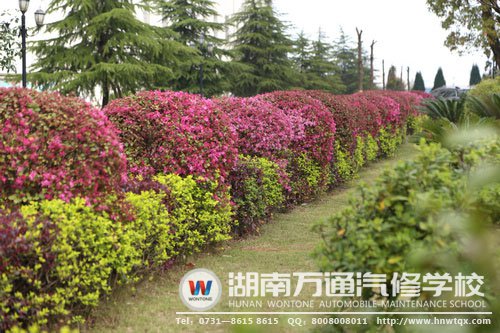 置身于此，你的心情還會不好么？