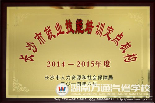 長(zhǎng)沙市就業(yè)技能培訓(xùn)定點(diǎn)機(jī)構(gòu)