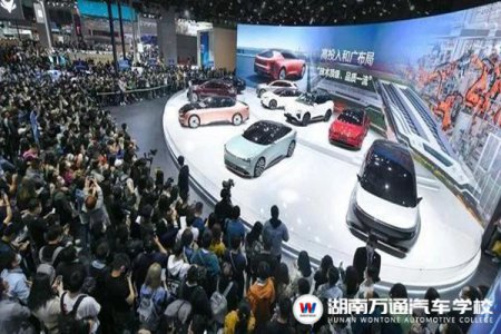 上海車展：汽車行業(yè)大勢“見新識變” 新人才迎百年機遇