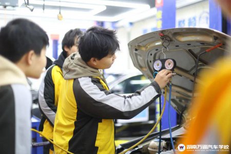 2025春季報名持續(xù)火爆!他們?yōu)楹芜x擇湖南萬通?