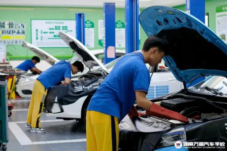 【金九銀十】成年人學(xué)什么技術(shù)好？推薦這5種