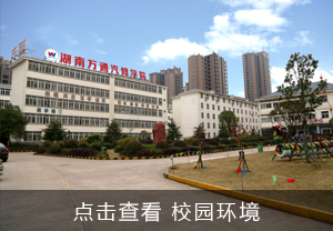 У�@�L(f��ng)���箋