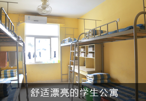 �W(xu��)������