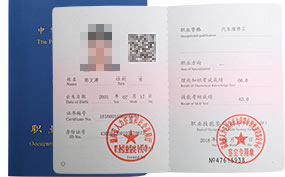 ��܇�S�޹�